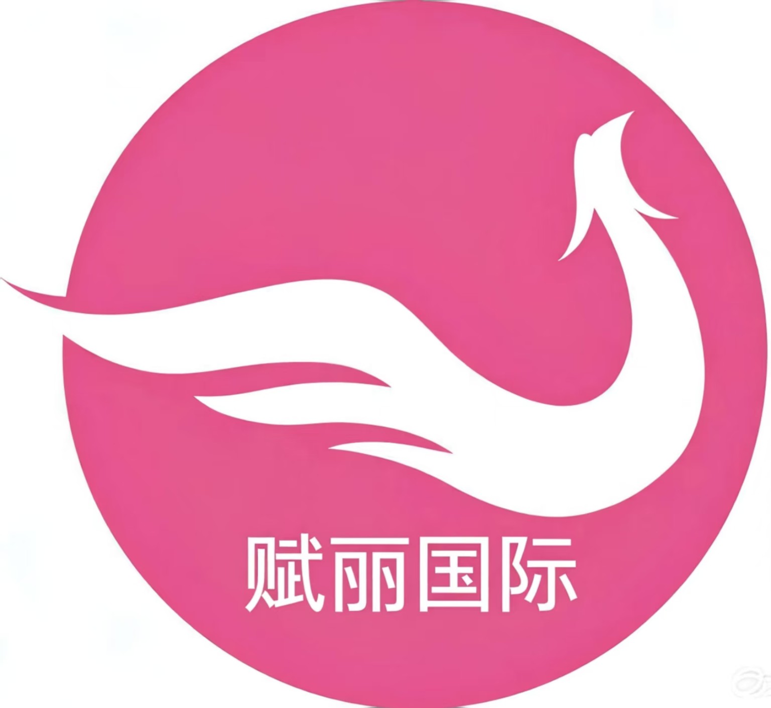 赋丽国际标志
